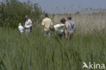 Nationaal Park Weerribben-Wieden