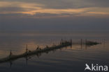 Waddenzee