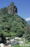 Cherangani hills