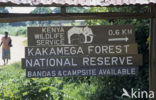 Kakamega Forest National Park