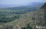 Lake Manyara National Park