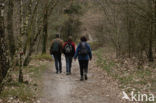 Lemelerberg en Archemerberg