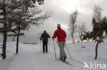 Nationaal Park Drents-Friese Wold