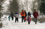 Nationaal Park Drents-Friese Wold