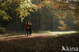 Nationaal Park Dwingelderveld