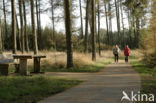 Nationaal Park Dwingelderveld