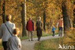 Nationaal Park Dwingelderveld