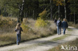 Nationaal Park Veluwezoom