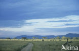 Serengeti National Park