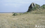 Serengeti National Park