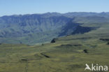 Drakensberg