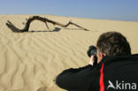 Nationaal Park De Hoge Veluwe