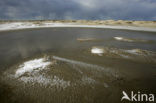 Nationaal Park Duinen van Texel