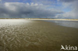 Nationaal Park Duinen van Texel