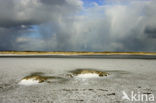 Nationaal Park Duinen van Texel