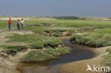 Nationaal Park Duinen van Texel 