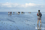 Waddenzee