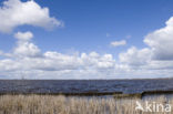 Nationaal Park Weerribben-Wieden