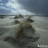 Terschelling