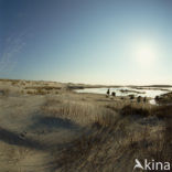 Terschelling