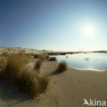 Terschelling