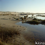 Terschelling