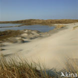 Terschelling