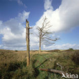 Terschelling