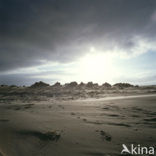 Terschelling