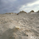 Terschelling