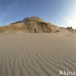 Terschelling