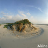 Terschelling