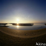 Waddenzee