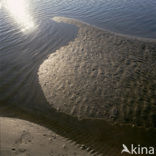 Waddenzee