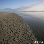 Waddenzee