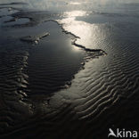 Waddenzee