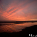 Waddenzee