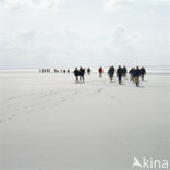 Waddenzee