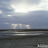 Waddenzee