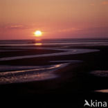 Waddenzee