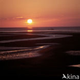 Waddenzee