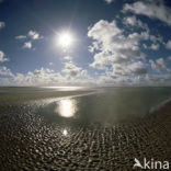 Waddenzee