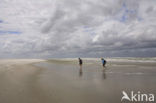 Nationaal park Schiermonnikoog