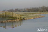 Polder Groot Mijdrecht