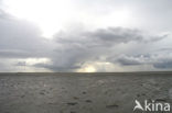 Waddenzee