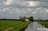 Bodegraven