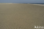 Nationaal Park Duinen van Texel