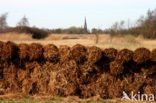 Nieuwkoopse Plassen