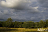 Nationaal Park De Hoge Veluwe