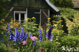 Garten Stenkamp